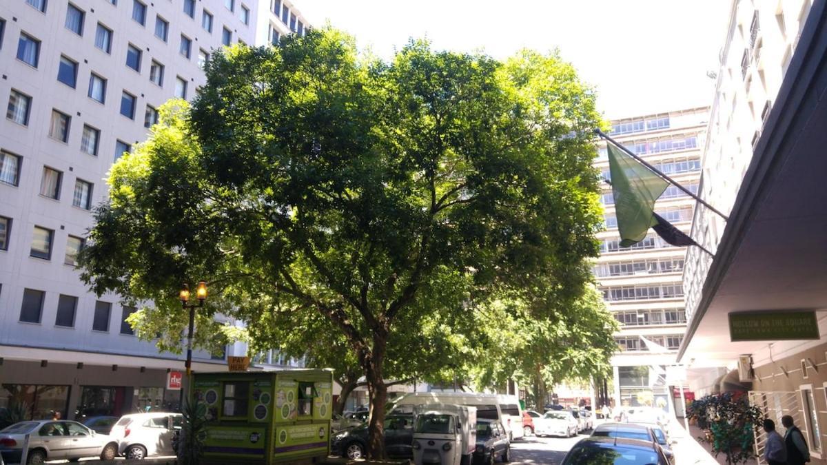 6a Diplomat Apartment Cape Town